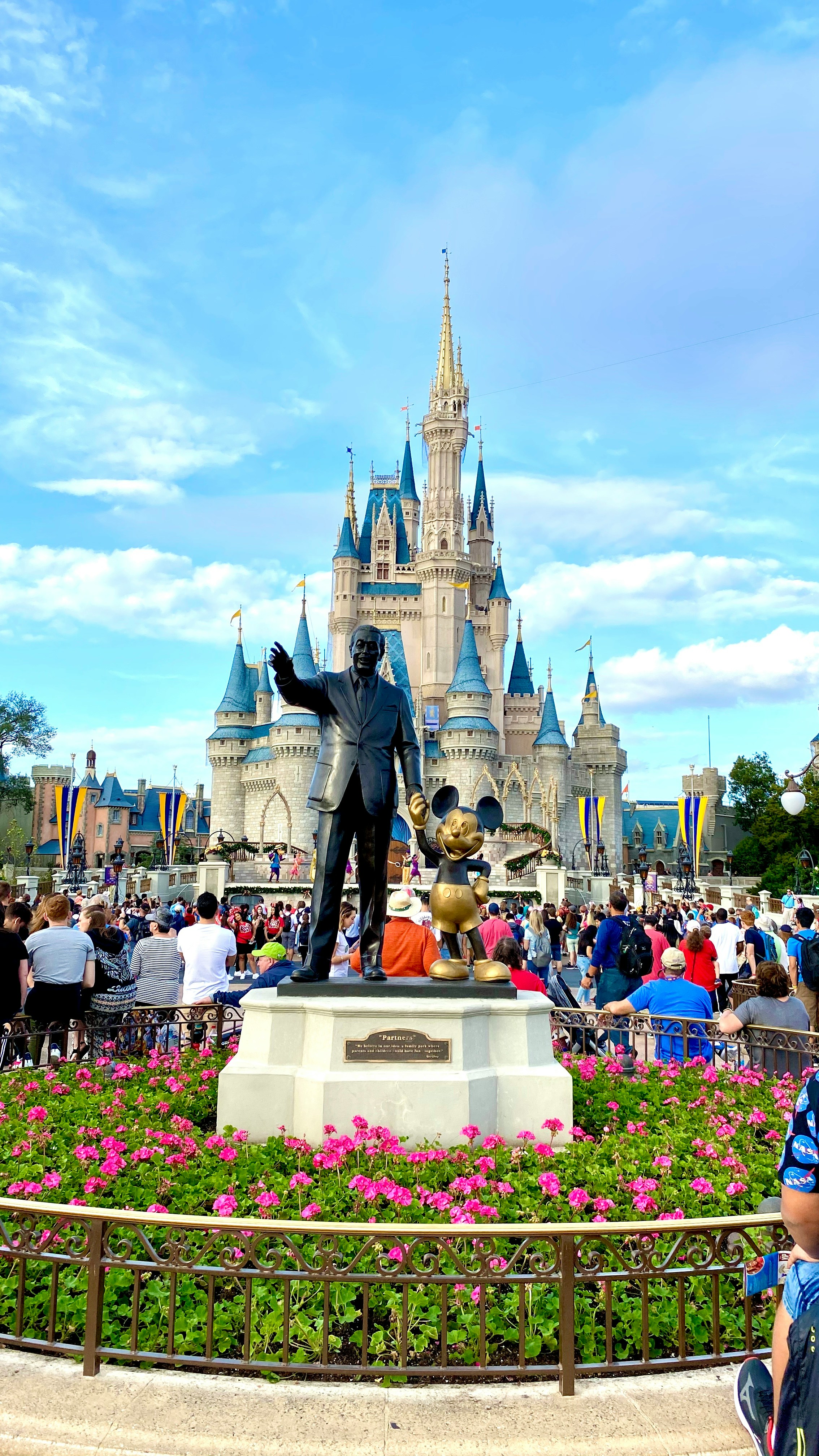 Disney Castle